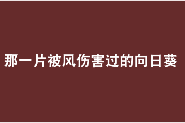 那一片被風傷害過的向日葵