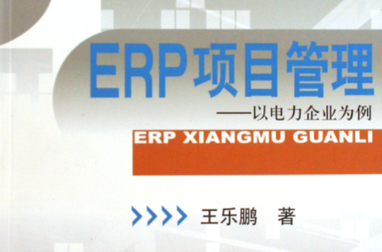 ERP項目管理：以電力企業為例