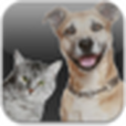 Cats and Dogs Ringtones