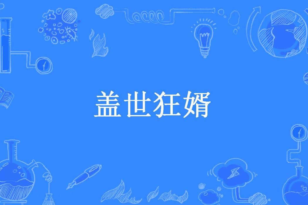 蓋世狂婿(極品奶爸所著小說)