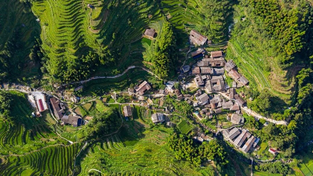 雲和梯田景區