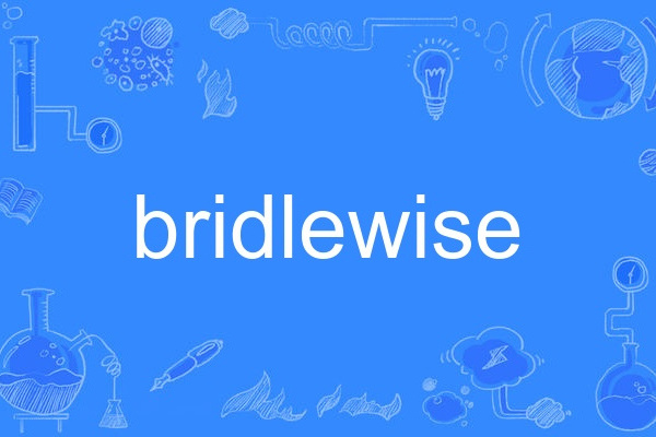 bridlewise