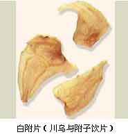 鹽附子(炮附子)