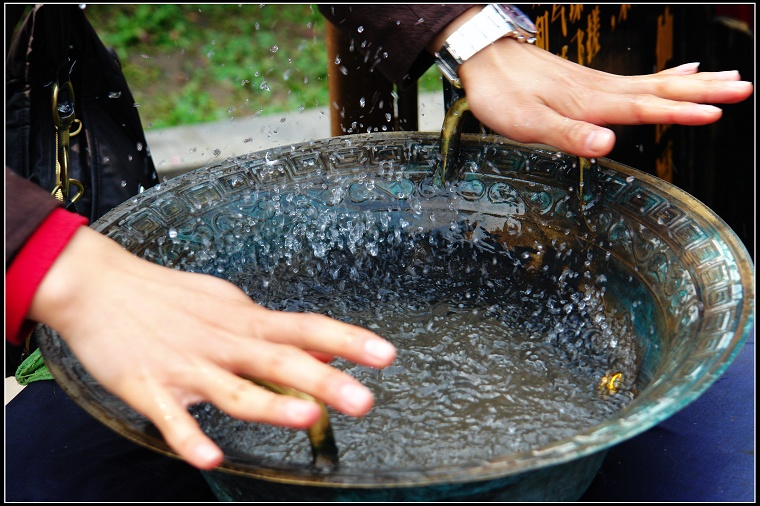 噴水魚冼