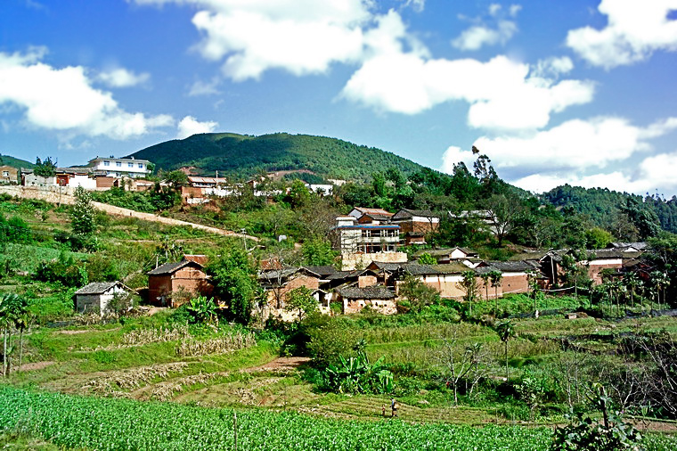 大麥地村莊