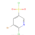 3-溴-2-氯吡啶-5-磺醯氯