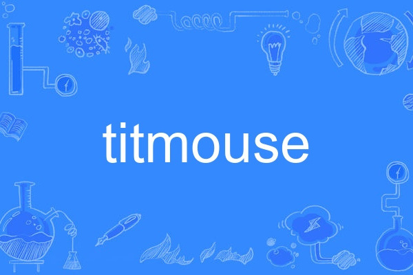 titmouse