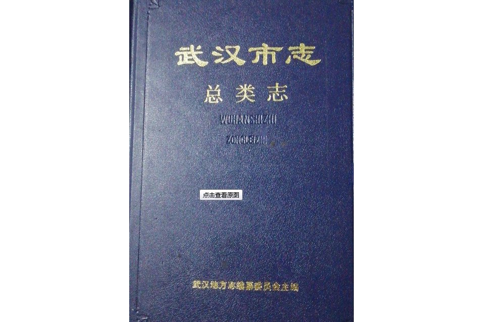 武漢市志總類志