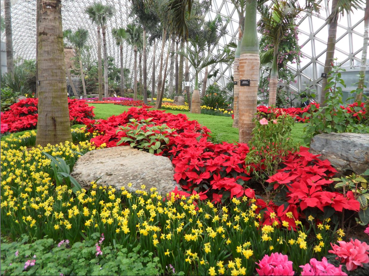 圖森植物園