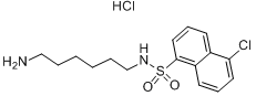 N-（6-氨基己基）-5-氯-1-萘磺胺鹽酸鹽