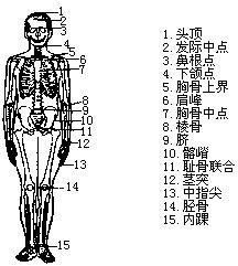 人體測量點