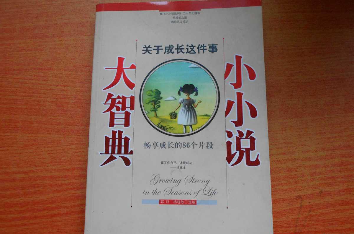 小小說大智典