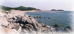 馬尾島