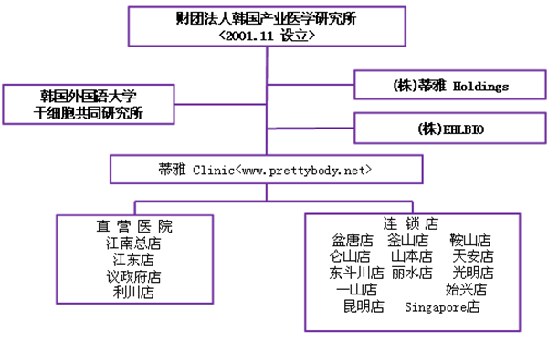 蒂雅(Diet)醫療集團介紹