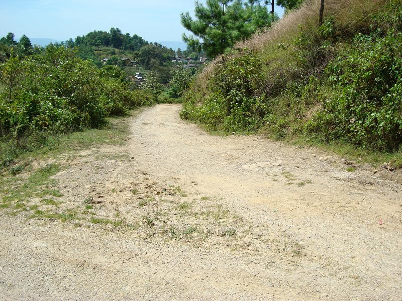 八杈樹自然村通村道路