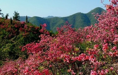 丁家橋鎮