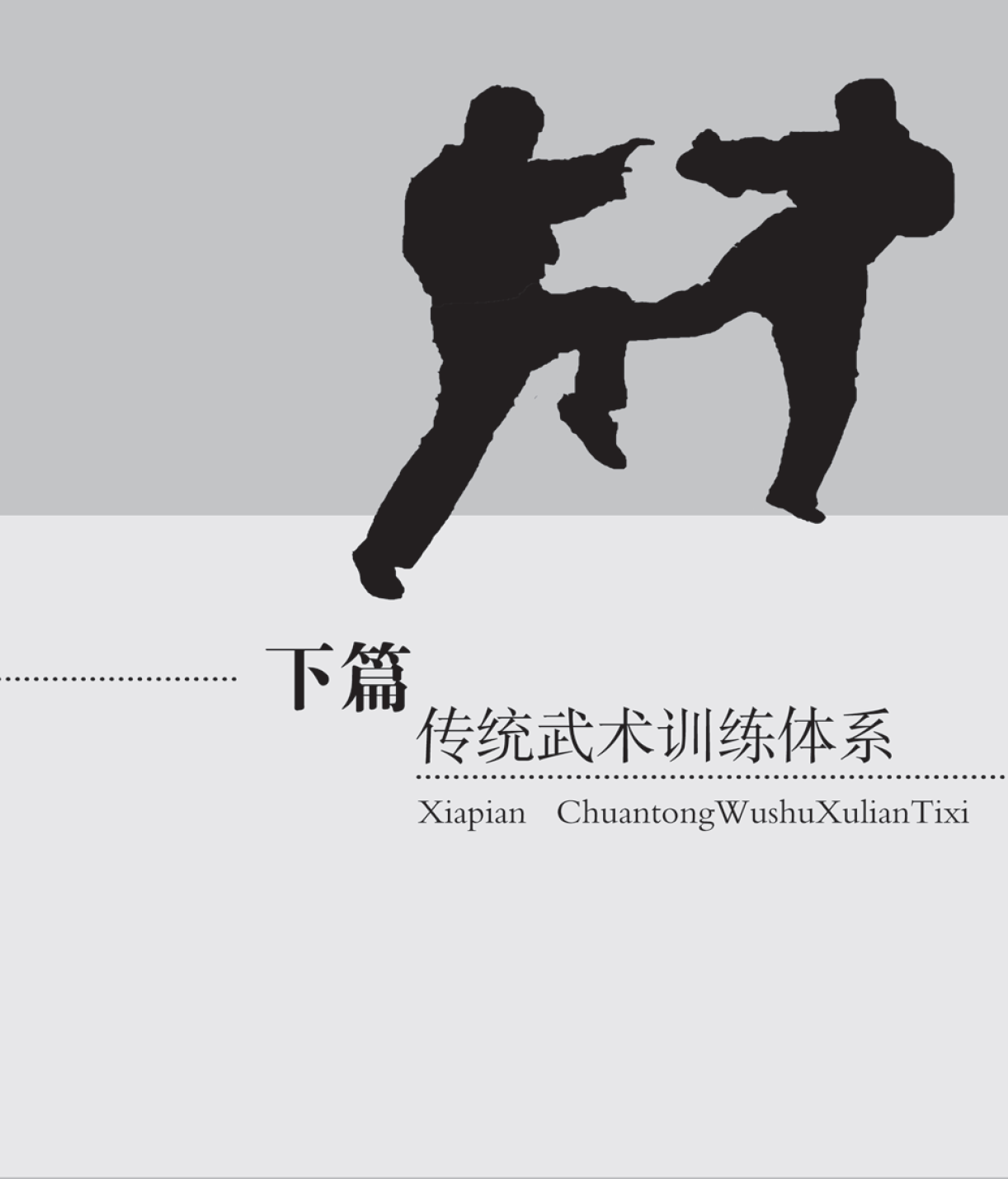 傳統武術技擊