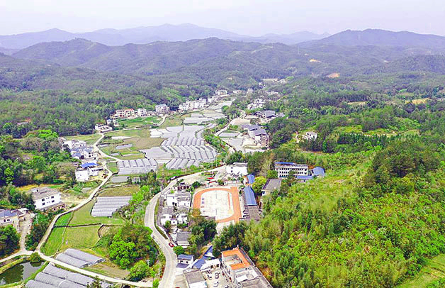 山林果地自然村