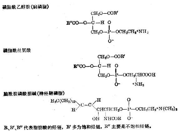 血漿的理化性質