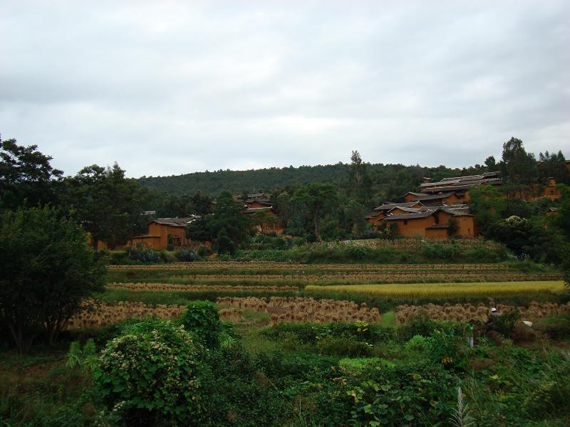 利米乍下村(雲南元謀縣羊街鎮下轄村)