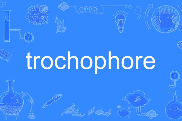 trochophore