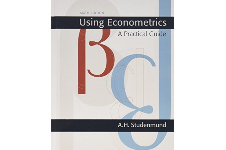 Using Econometrics