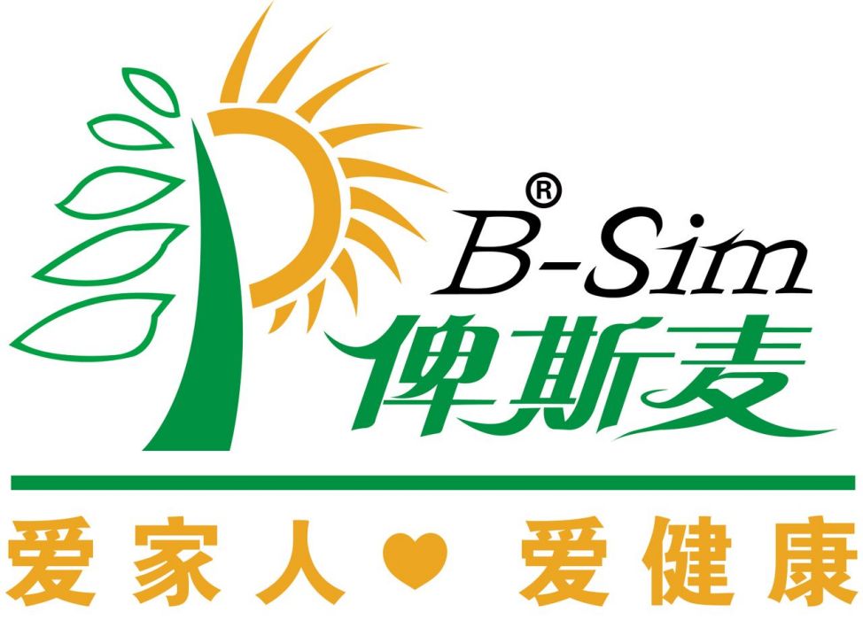 俾斯麥B-sim