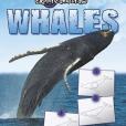 Whales(Thompson, Gare著圖書)