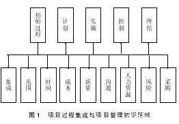 項目管理過程成熟度模型