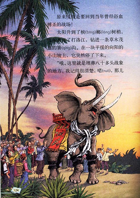 最後一頭戰象(2008年浙江少年兒童出版社出版的圖書)