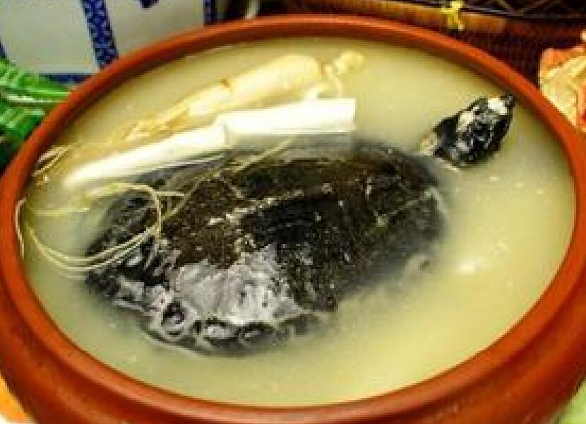 雪蓮甲魚湯