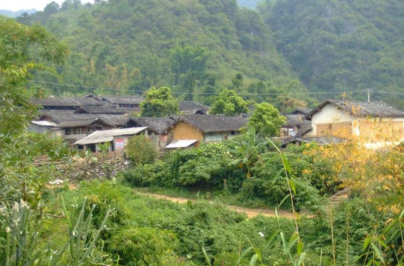 綠蔭塘自然村(雲南昭陽區永豐鎮下轄村)