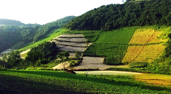 天河坪村