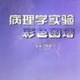 病理學實驗彩色圖譜(山東科學技術出版社出版的圖書)