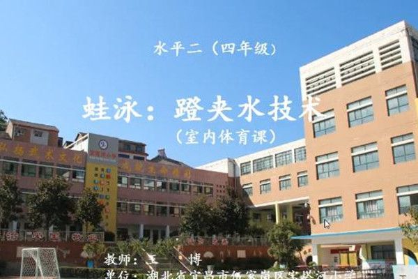 《蛙泳：蹬夾水技術》微課