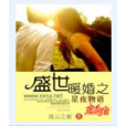 盛世暖婚(言情小說)