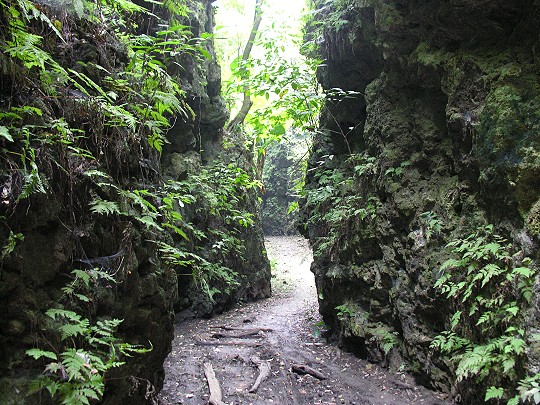 大崗山盤龍峽谷