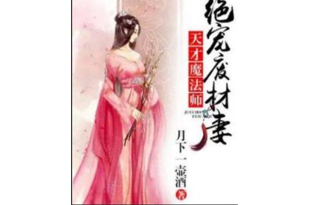 天才魔法師：絕寵廢材妻