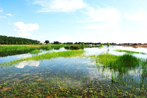 桑乾河生態濕地修復工程