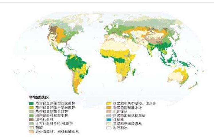 生物分布學