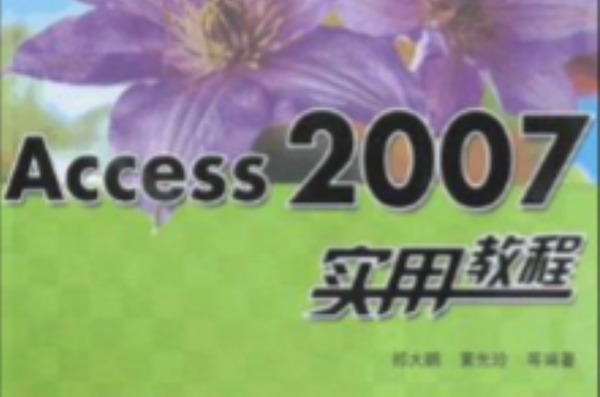 Access 2007實用教程