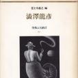 澁澤龍彥(1991年國書刊行會出版的圖書)