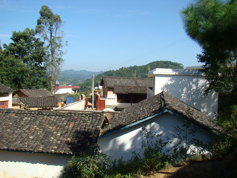 光山村(福建省泉州市惠安縣紫山鎮光山村)