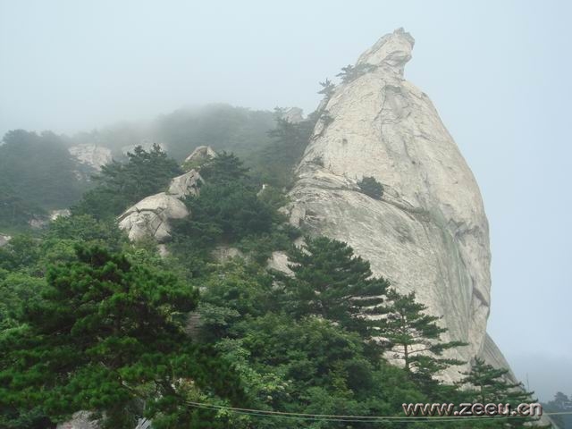 黃山澗十里綠色長廊景區