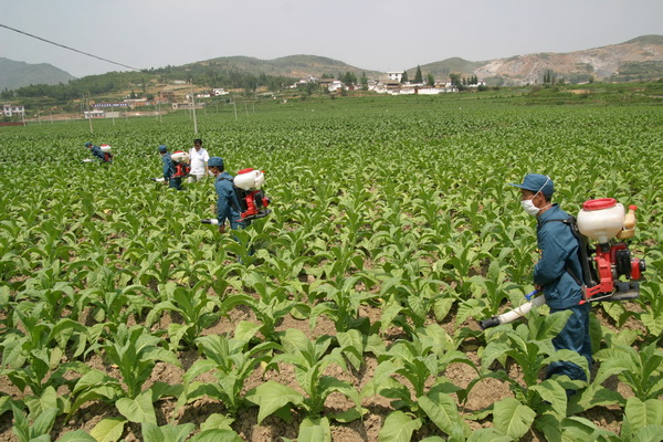 小籠橋村