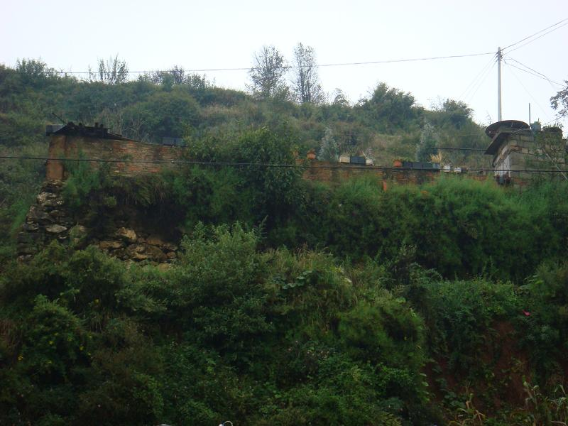 大坪地自然村(雲南省東川區湯丹鎮元寶村大坪地自然村)