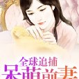 全球通緝100天：追捕呆萌前妻