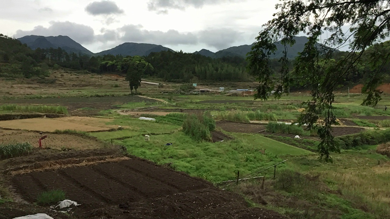 中洋里村