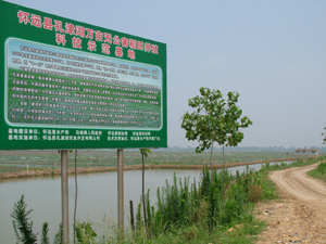 白衣村(安徽省蚌埠市禹會區馬城鎮下轄村)