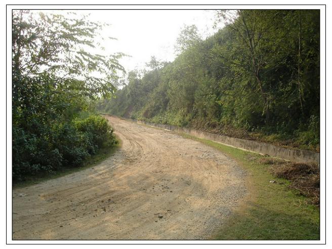 橄盧自然村通村道路